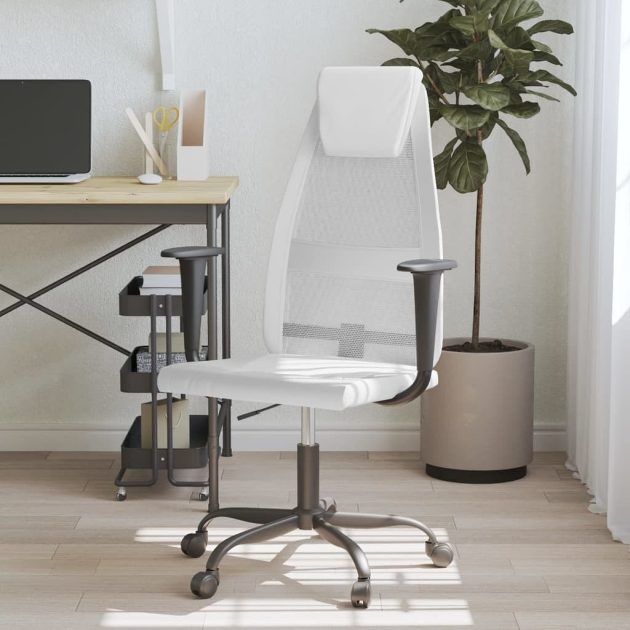 Office & School